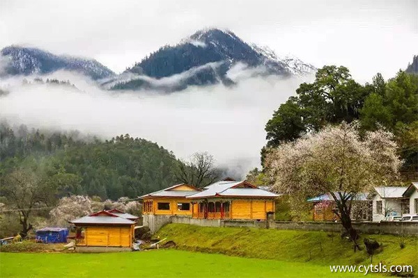 西藏有名旅游團(tuán)