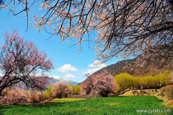 西藏旅游報團(tuán)多少錢