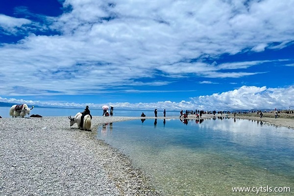 跟團在西藏旅游要多少錢