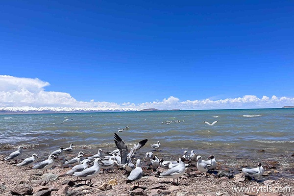 進(jìn)藏旅游一周需要準(zhǔn)備什么